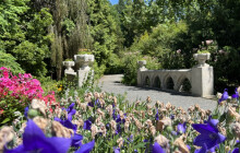 Chladivá oáza i historie zemědělství. Arboretum láká na návštěvu