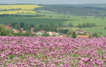 Vracíme přírodu zpět do krajiny, říká starosta obce, která získala evropskou cenu