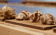 Vlastivědné muzeum volá o pomoc. Výstavu může vytvořit sama veřejnost