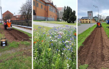Luční kvítí i lilie. V Prostějově osadili pět ploch