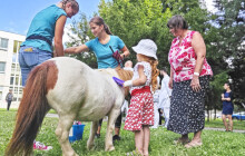 Poníci rozdávali radost dětským pacientům. Na Dětské klinice byli poprvé