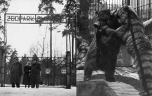 Zoo Olomouc slaví 65 let od otevření. Vstup za korunu? Zveřejněny byly dobové fotky