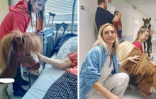 Poníci opět v nemocnici. Zafira s Kuličkou vyrazili do fakultky