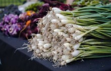 FOTO: Olomouckou Podkovu v pátek ovládl FARMYARD. Podívejte se, jak to na farmářských trzích vypadalo