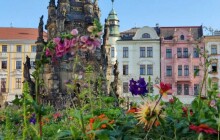 Olomoucké Horní náměstí se může pochlubit novu květinovou výzdobou