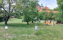 Nejteplejší září od 18. století. Rekordy padaly i v Olomouci