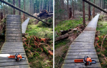 Správa opravila chodník v CHKO. Vyvrátil jej smrk