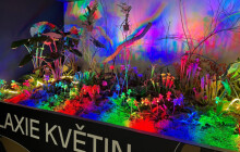 Vyrazte do Galaxie květin. Začala Flora