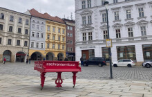 Chystají protestní koncert. Vystoupí Ledecký, Pavlica i Hutka