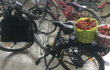 Vytratila klíče od kola při samosběru. I s jahodami jej pohlídali strážníci