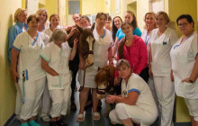 Poníci navštívili fakultní nemocnici, Kulička potěšil zdejší pacienty