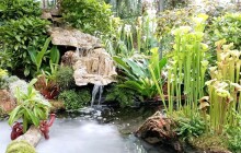 SOUTĚŽ: Masožravé rostliny v Olomouci. Vyhrajte vstupenky