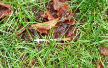 Injekční stříkačka se našla i za Šantovkou. Městká policie Olomouc eviduje nárůst případů