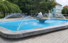 V Prostějově strážníci řeší plavce v kašnách, v Olomouci studentskou prolézačku na náměstí