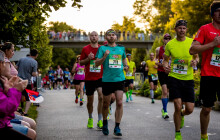 Olomouc se stane centrem běhu. Půlmaraton se mění na běžecký festival