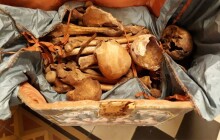 Jak vypadali olomoučtí Přemyslovci? Jejich tváře představí Arcidiecézní muzeum