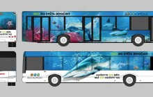 Žralok se bude prohánět po Olomouci. Bude lákat k návštěvě zoo