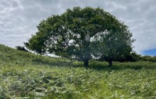 Vysoké teploty vystřídají silné bouřky. Meteorologové vydali výstrahu
