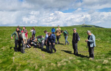 Tundra nebo pastvy? Odborníci hledali, jak dál pečovat o horské hole Jeseníků