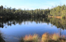 Mechové jezírko může získat Cenu kraje. Hlasovat může každý