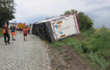 Převrátil náklaďák s krávami. Policie vyčíslila škodu na půl milionu