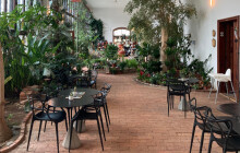 Káva mezi palmami? V bludovské oranžérii sází na vlastní ovoce i poctivý kus koláče