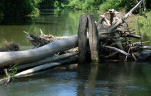 Nepřeceňujte schopnosti, Pomoraví je jedinečné. CHKO vyzývá k opatrnosti pro vodáky