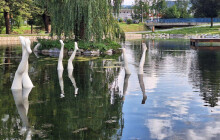 V jesenickém rybníčku rostou Nohy z vody. Jde o výstavu sochaře Gebauera
