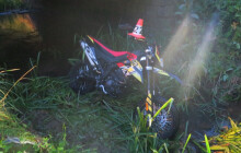 Skončil v potoce. Mladý řidič nezvládl zatáčku