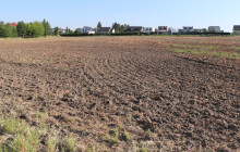 Nové místo pro zahrádkáře. Město zakládá zahrádkářskou kolonii