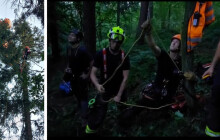 Paraglidistka uvízla v korunách stromů. U Milenova zasahovali hasiči