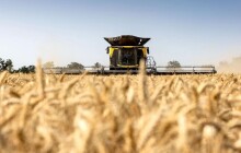 Žně v kraji končí. Výnosy z obilí i řepky jsou nižší