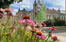 Galerie vystavuje originály Salvadora Dalího. Až do října