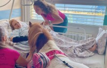 Kulička přinesla radost pacientkám ve FNOL. Zvíře musí mít certifikát