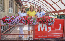 Barevnější fakultka. Vchod na neurochirurgii rozzářily květiny