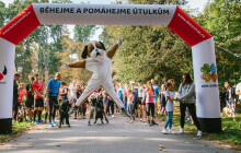 Jak bychom mohli podpořit péči o opuštěné psy? Běhejme a pomáhejme útulkům