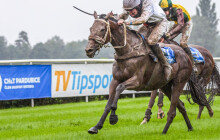 Favorit Velké pardubické z Beňova na Přerovsku mimo hru. Zranění ukončilo jeho sezónu