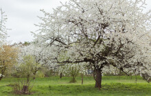 Ceny kraje v oblasti životního prostředí jsou rozdány. Získal ji i Jiří Beneš
