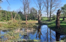 Nebezpečí v lesích. Kvůli záplavám zůstávají oblíbené oblasti uzavřené pro turisty