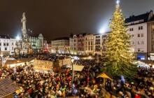 Hledá se vánoční strom pro Olomouc. Rozsvítí se 24. listopadu