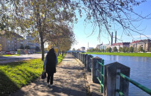 Kruhový objezd v Přerově rozkvete minimalisticky. Odhlasoval si to lid