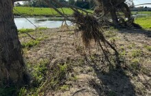Nebezpečí po povodních přetrvává. Padají stromy, znečištěné jsou i řeky