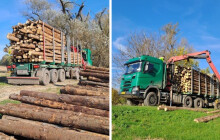 Lesy ČR už rozváží dřevo do oblastí po povodních. Chtějí pomoct domácnostem