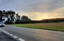 Nehody se zvěří jsou stále častějšími. Jejich četnost roste zhruba pětiprocentním tempem