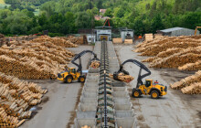 Kvůli špatné situaci na trhu propustí 32 z 205 zaměstnanců. Pila v novém roce sníží kapacity