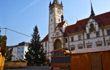 Vánoční stromy hledají jména. Veřejnost rozhodne i o jméně v Litovli