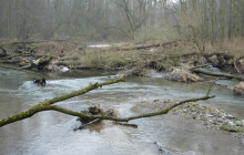 Do lesů se pořád nesmí. Po povodních mohou padat stromy