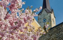 Mohelnice má novou městskou knihovnou, i s vybavením stála 80 milionů korun