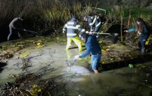 Přírodní památka v nesnázích. Zlatí karasi ohrožují čolky u Prostějova