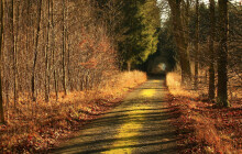 Tip na výlet: Vydejte se do pohádkové přírodní rezervace na Olomoucku